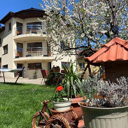 Appartement Casa Ana Cluj Extérieur photo