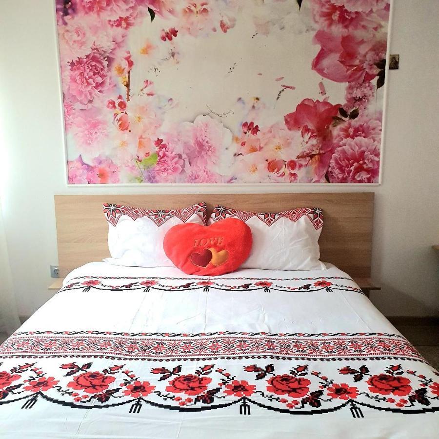 Appartement Casa Ana Cluj Extérieur photo